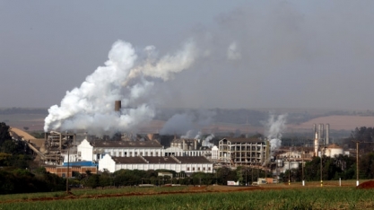 Usina de PE vai distribuir sobra de R$ 7,8 milhões e deixará a cana mais bem paga do Brasil