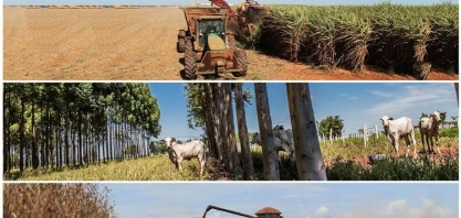De 2015 a 2019: Sistema Famasul divulga relatório sobre o avanço da agropecuária em MS