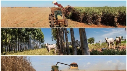 De 2015 a 2019: Sistema Famasul divulga relatório sobre o avanço da agropecuária em MS
