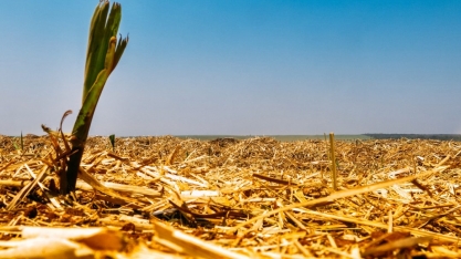 Uso do etanol evita 515 milhões de toneladas de CO2 na atmosfera