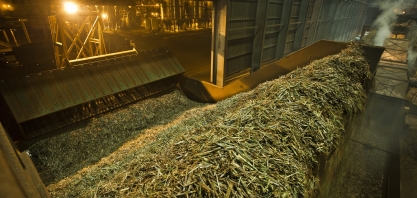 Junho iniciou com 245 unidades sucroenergéticas moendo