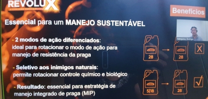 Cana ganha a proteção de inovador inseticida para o controle da broca, a principal praga dos canaviais