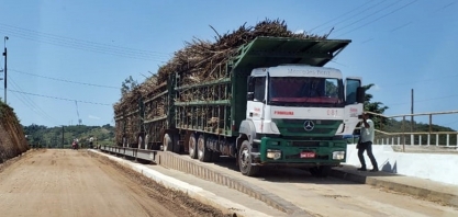 Pindorama apresenta otimismo para a safra 20/21