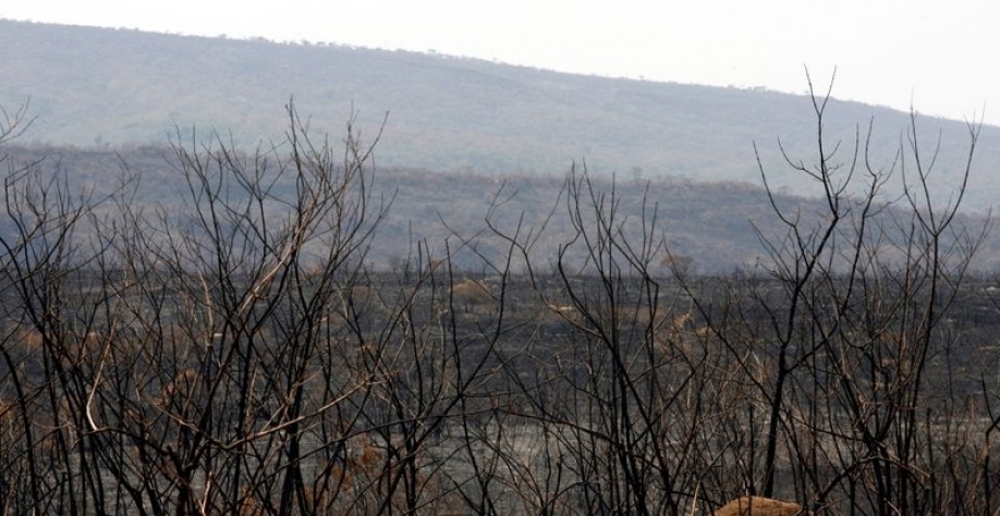 © Reuters. Área atingida por queimada na região de Brasília (DF)