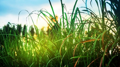 Opinião – combate à poluição será prioridade em saúde