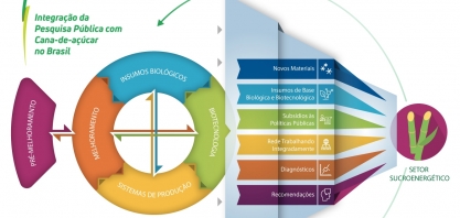 Rede de pesquisa em Cana-de-açúcar que reúne 22 instituições públicas do País inicia nova fase