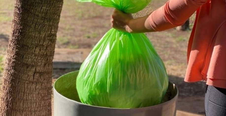 Saco de lixo feito de planta com zero emissão de carbono (Foto: Divulgação)