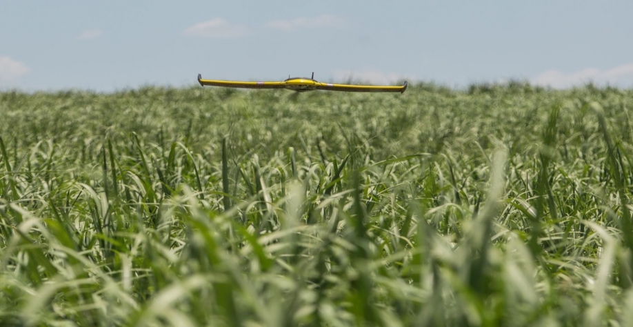 Do preparo do solo à colheita, VANTs proporcionam grandes benefícios na gestão das atividades do campo