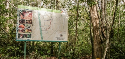 Usina Coruripe promove evento on-line de conscientização e preservação do meio ambiente