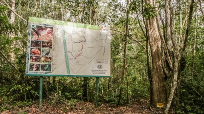 Usina Coruripe promove evento on-line de conscientização e preservação do meio ambiente