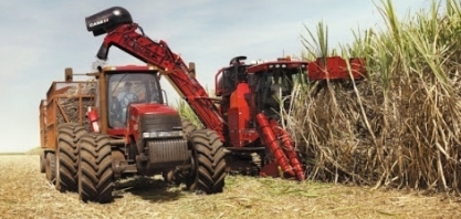 Superávit de açúcar do próximo ciclo global pode estar limitando fatores mais curtos de alta