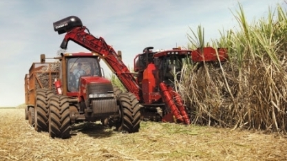 Superávit de açúcar do próximo ciclo global pode estar limitando fatores mais curtos de alta