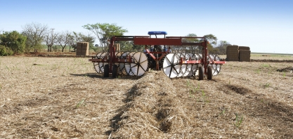 Lavagem da palha da cana remove as impurezas em até 80%