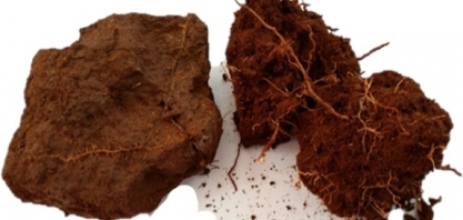 Influência do clima e descompactação do solo são temas de lives da Embrapa