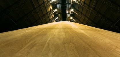 Safra mantém tendência açucareira na primeira quinzena de junho