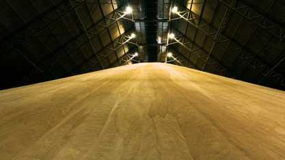 Safra mantém tendência açucareira na primeira quinzena de junho