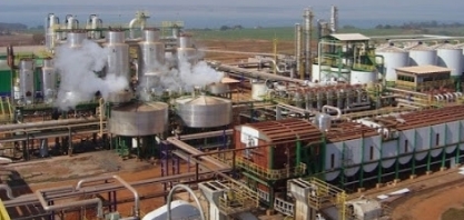 Tereos sai de prejuízo para lucro líquido de 24 milhões de euros