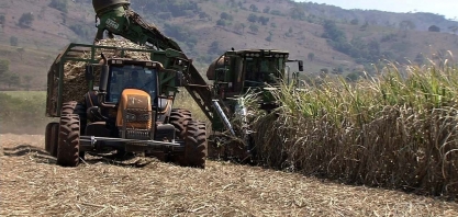 Com consumo de etanol em baixa, produção de açúcar aumenta em Goiás