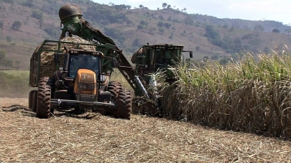 Com consumo de etanol em baixa, produção de açúcar aumenta em Goiás