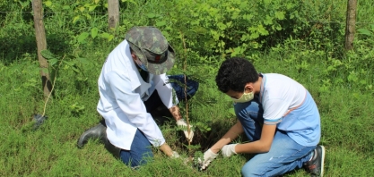 Pindorama comemora Semana do Meio Ambiente com ações restritas