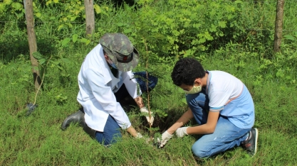 Pindorama comemora Semana do Meio Ambiente com ações restritas