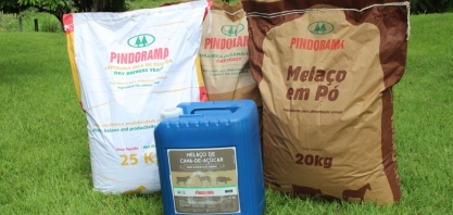Pindorama amplia mix de produtos da cana