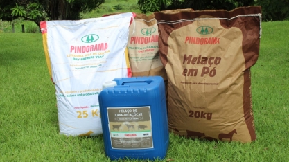 Pindorama amplia mix de produtos da cana
