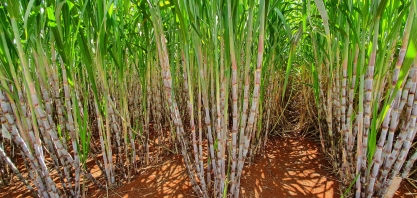 A importância em obter alto índice de ATR