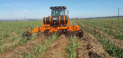 Controle de pragas em soqueiras requer o uso de implemento eficiente