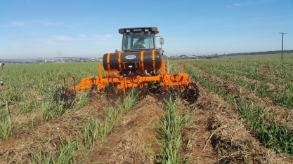 Controle de pragas em soqueiras requer o uso de implemento eficiente