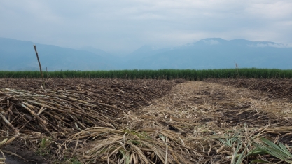 Sindalcool cumprimenta em nota novo dirigente colombiano e destaca medidas para conter influência do etanol de milho americano