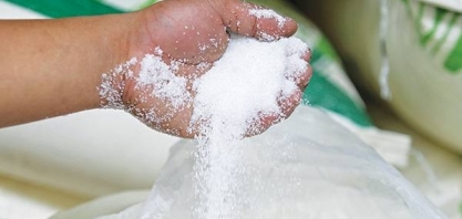 Exportações recordes de açúcar da índia devem impactar mercado