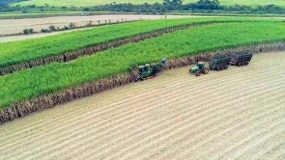 Usinas investem no açúcar durante crise causada por coronavírus