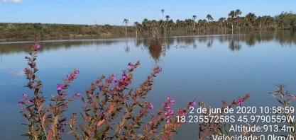 Colaboradores da WD “clicam” a riqueza ambiental em torno da empesa