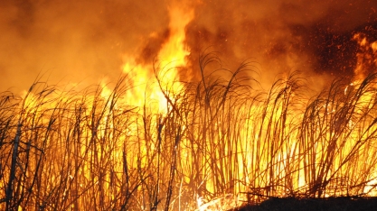 Clima mais seco acende o alerta de incêndios nos canaviais