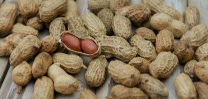 São Paulo produz 90% do amendoim brasileiro e abriga parte importante dos demais elos da cadeia produtiva