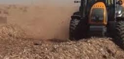 Projeto brasileiro usa palha da cana-de-açúcar para gerar energia renovável