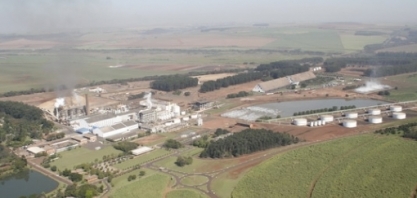 São Martinho: Moagem na safra 2020/21 deve ser de 23,2 milhões de t; previsão é de mix mais açucareiro