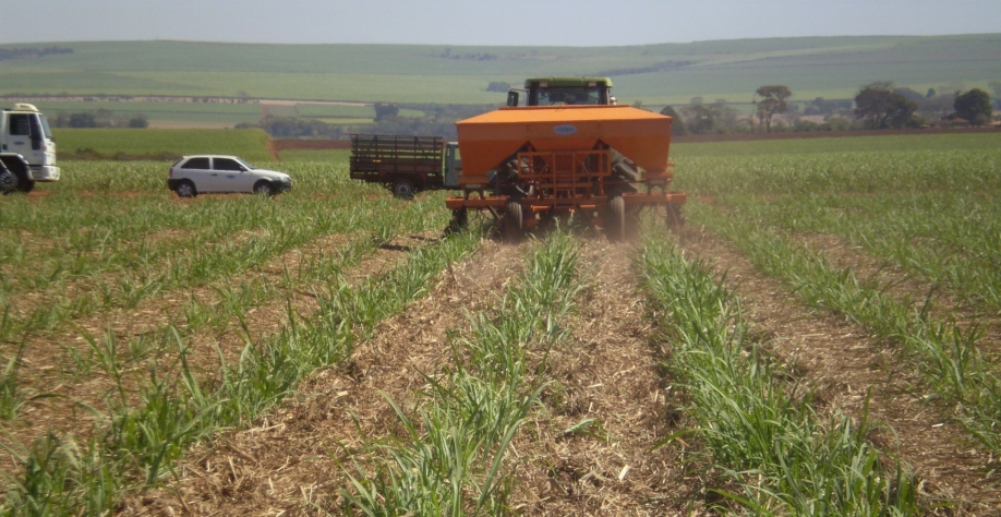 É fundamental aplicar fertilizantes com tecnologia adequada e trabalhar o intervalo de acordo com as recomendações feitas pelas instituições de pesquisas
