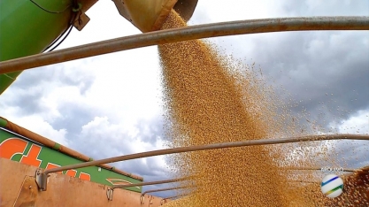 Agronegócio brasileiro exporta US$ 10,9 bilhões em maio e bate recorde para o mês