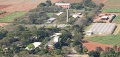 Lucro do CTC cai na safra 2019/20 com encerramento de planta de etanol celulósico