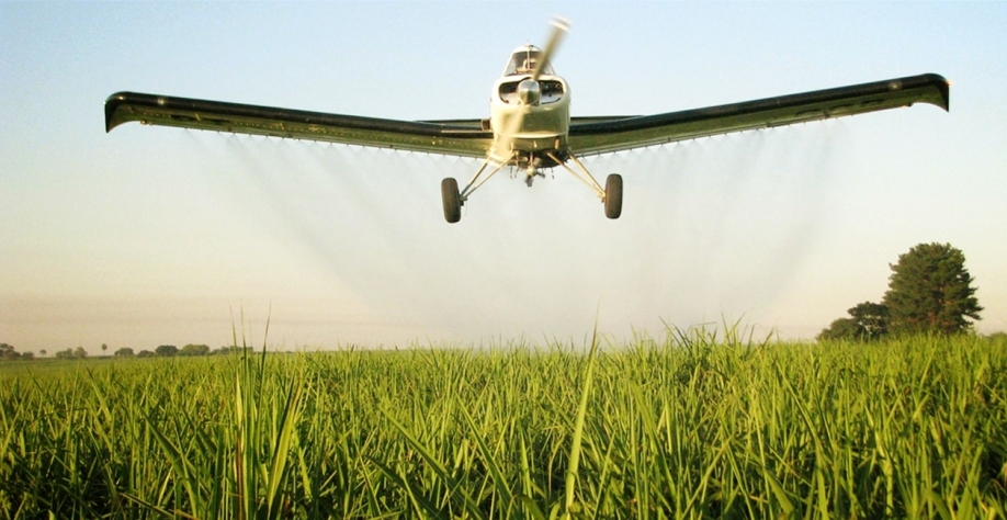  Adubos foliares podem ser aplicados com aviões agrícolas durante o período de maior desenvolvimento vegetativo da cana