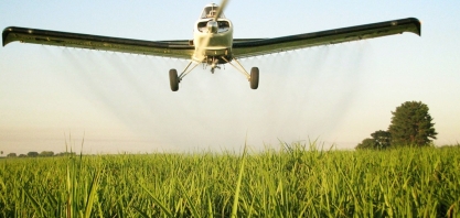 Mesmo em pequenas quantidades, a adubação foliar em cana pode levar a ganhos de produtividade ao redor de 10%