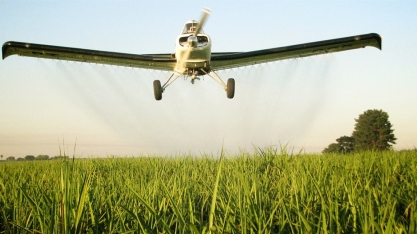 Mesmo em pequenas quantidades, a adubação foliar em cana pode levar a ganhos de produtividade ao redor de 10%