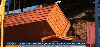 Usinas de cana-de-açúcar mudam foco da produção