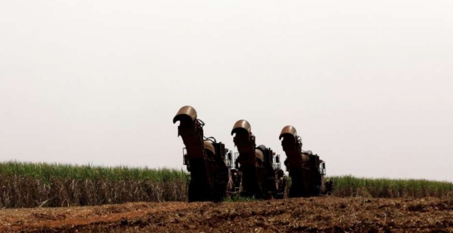 Colheita de cana-de-açúcar em Pradópolis (SP) 13/09/2018 REUTERS/Paulo Whitaker. Foto: Reuters