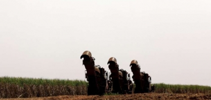 Produção de açúcar do CS deve crescer 40%; país exportará 63% mais