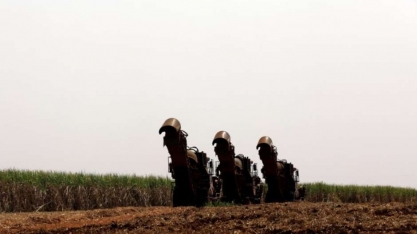 Produção de açúcar do CS deve crescer 40%; país exportará 63% mais