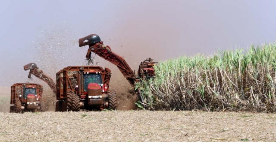 Safra mais curta de açúcar com a aceleração das exportações tira o Brasil de Nova York (Imagem: REUTERS/Paulo Whitaker)