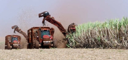 Brasil está alheio ao açúcar em Nova York. Agora, é problema dos asiáticos